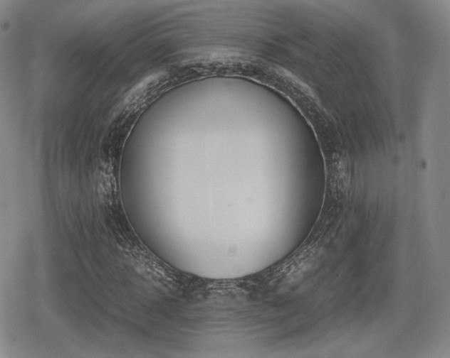 X0000080710918200612151130