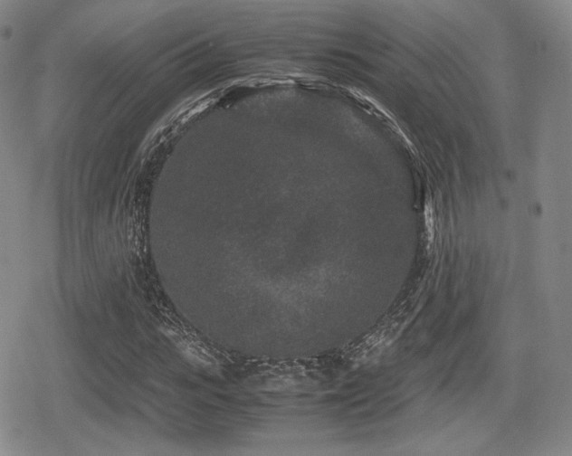 X0000080710919200612151130