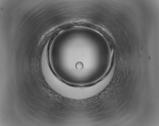 X0000080710920200612151130