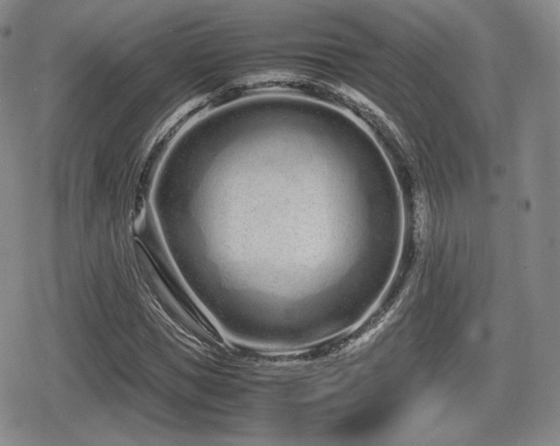 X0000080710921200612151130