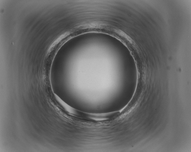 X0000080710922200612151130