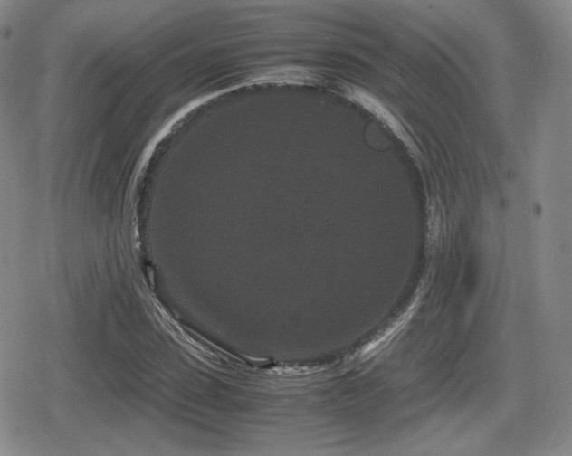 X0000080710923200612151130