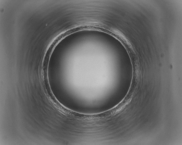 X0000080710924200612151130