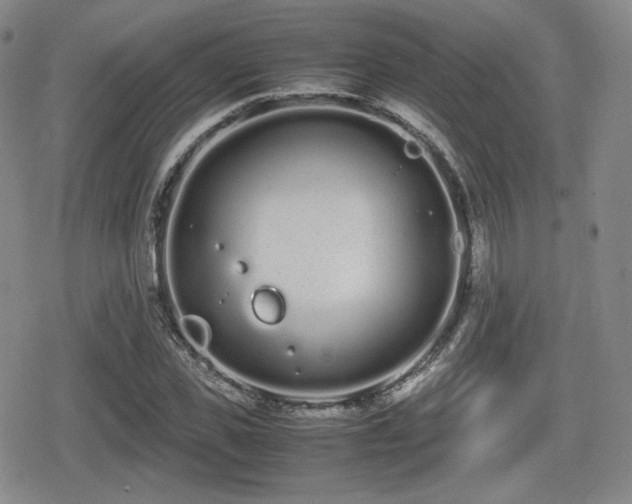 X0000080710925200612151130