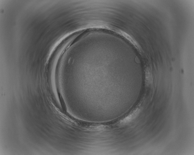 X0000080710926200612151130