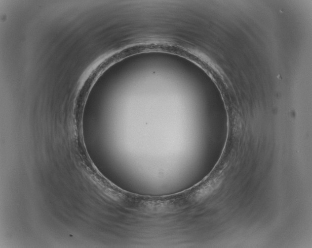 X0000080710927200612151130