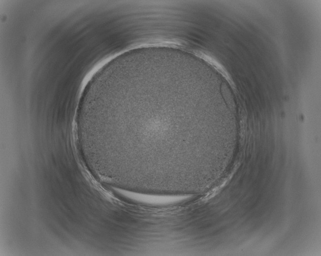 X0000080710928200612151130