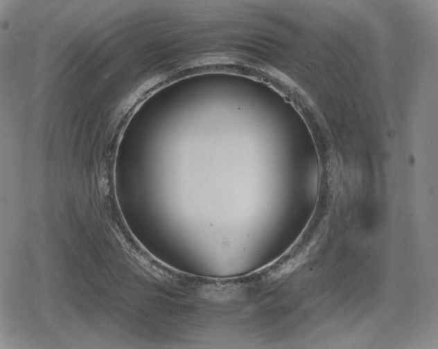 X0000080710929200612151130