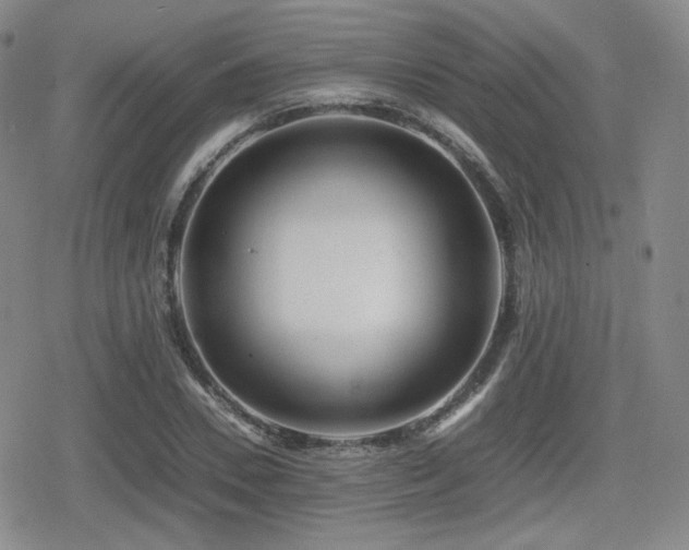 X0000080710930200612151130