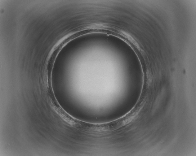 X0000080710931200612151130