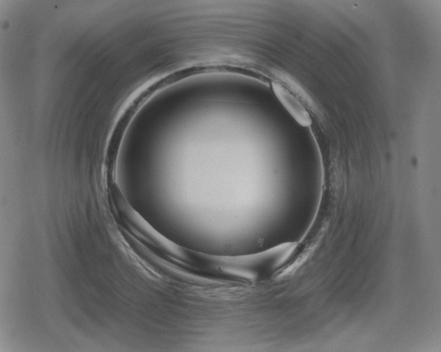 X0000080710932200612151130