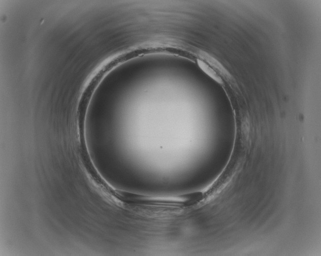 X0000080710934200612151130