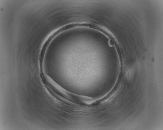 X0000080710935200612151130