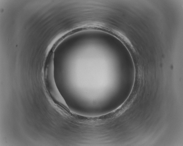 X0000080710936200612151130