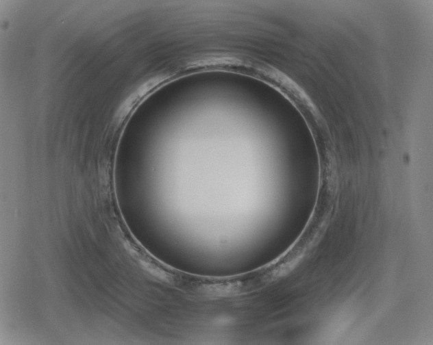 X0000080710937200612151130