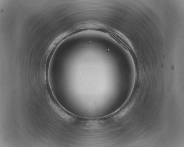 X0000080710938200612151130