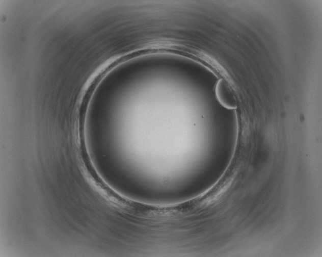 X0000080710939200612151130