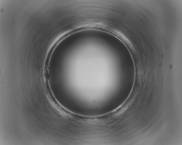 X0000080710940200612151130