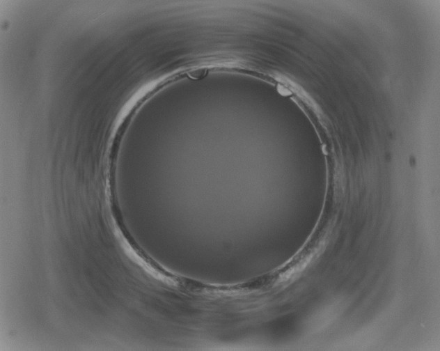 X0000080710941200612151130