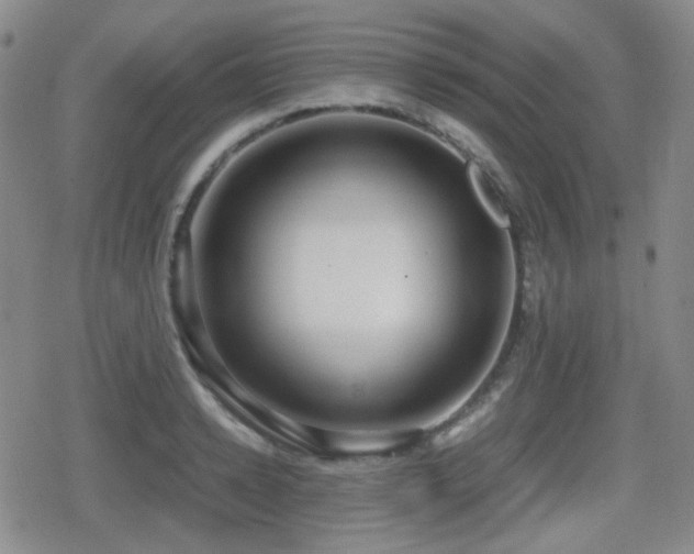 X0000080710942200612151130