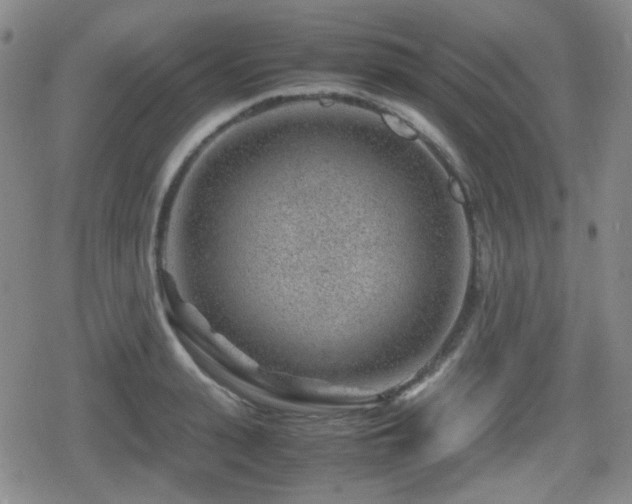 X0000080710943200612151130