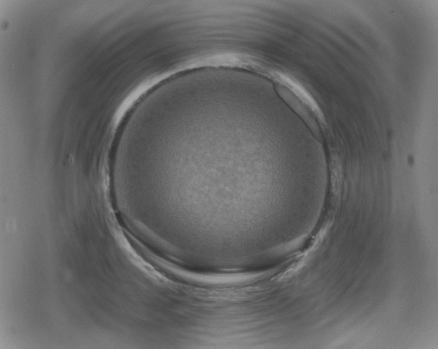 X0000080710944200612151130