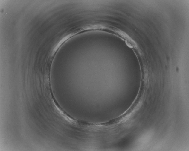 X0000080710945200612151130