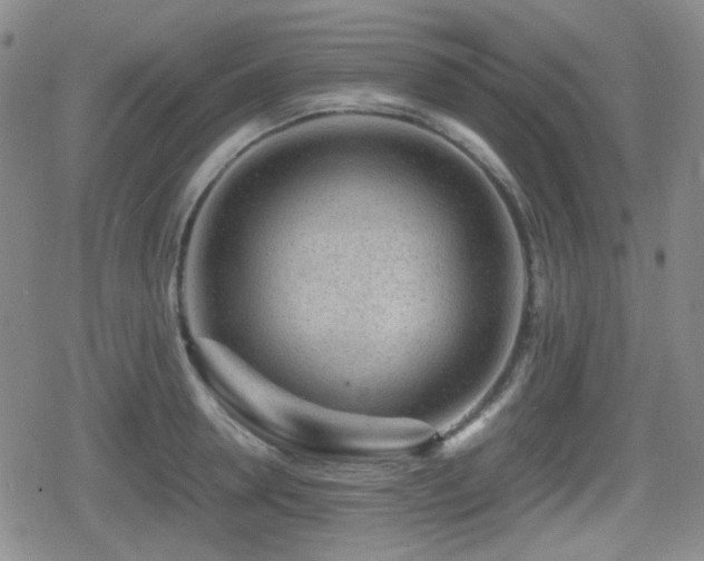 X0000080710946200612151130