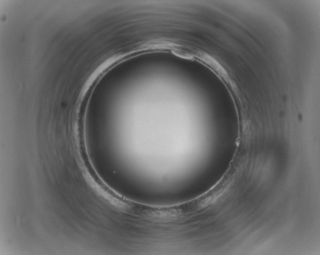 X0000080710947200612151130