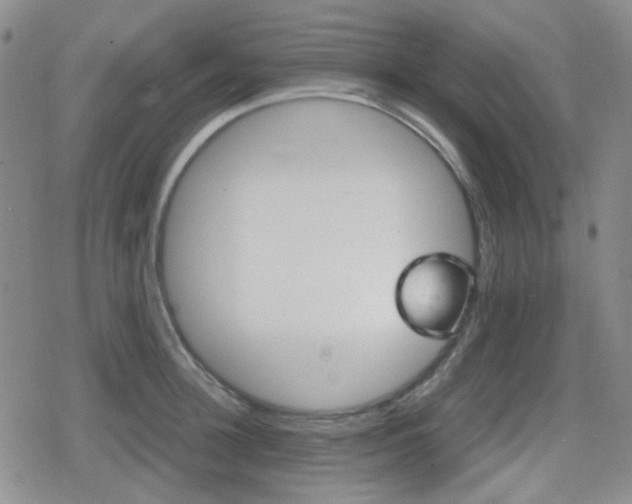 X0000080710948200612151130