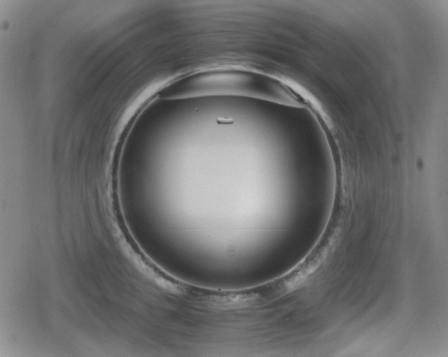 X0000080710949200612151130