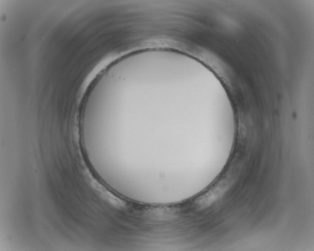 X0000080710950200612151130