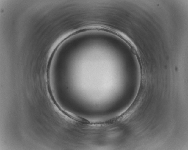 X0000080710951200612151130