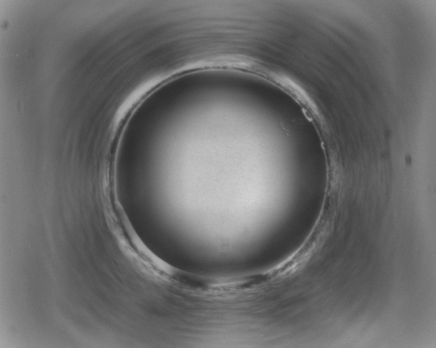 X0000080710952200612151130