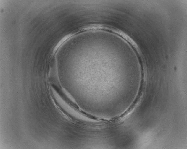 X0000080710953200612151130