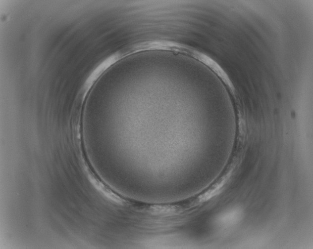 X0000080710954200612151130