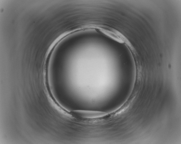 X0000080710955200612151130