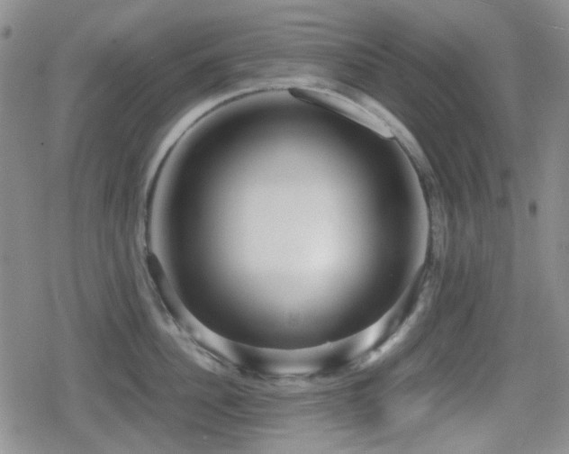 X0000080710956200612151130