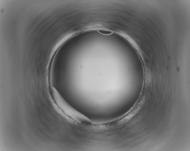 X0000080710957200612151130