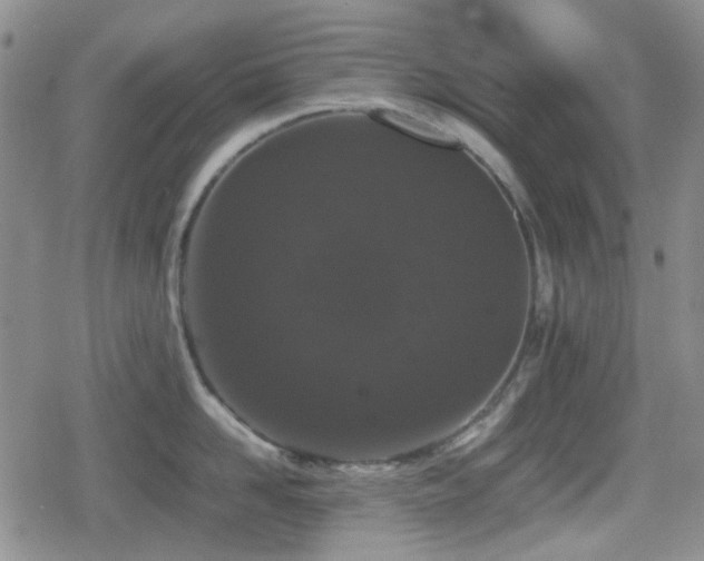 X0000080710958200612151130