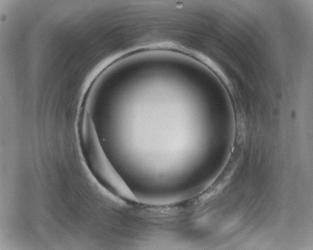 X0000080710959200612151130