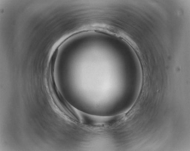 X0000080710960200612151130