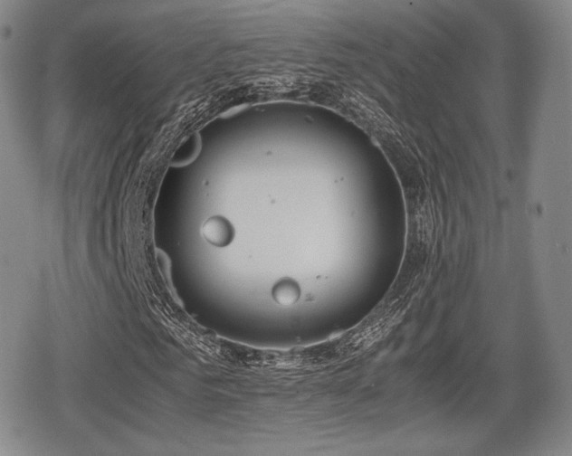 X0000080710961200612151130