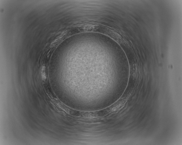 X0000080710962200612151130