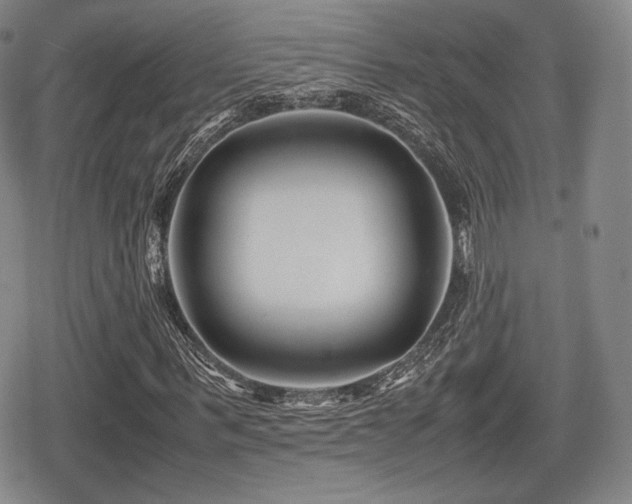 X0000080710963200612151130