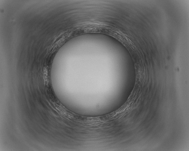 X0000080710964200612151130