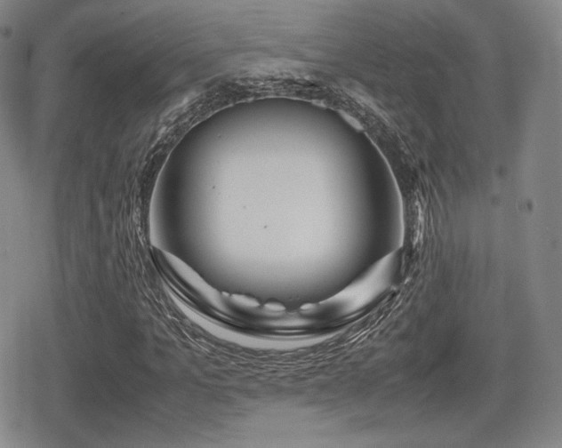 X0000080710965200612151130