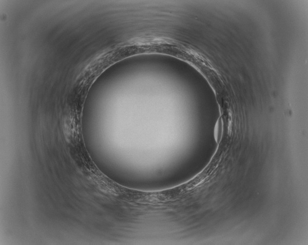 X0000080710966200612151130