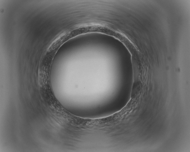 X0000080710967200612151130