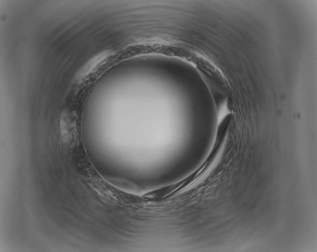 X0000080710968200612151130